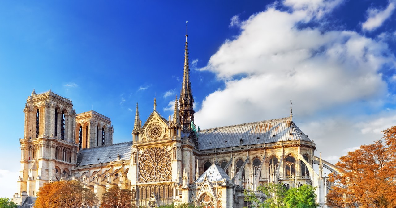 Katedra Notre Dame niedługo zostanie ponownie oddana /123RF/PICSEL