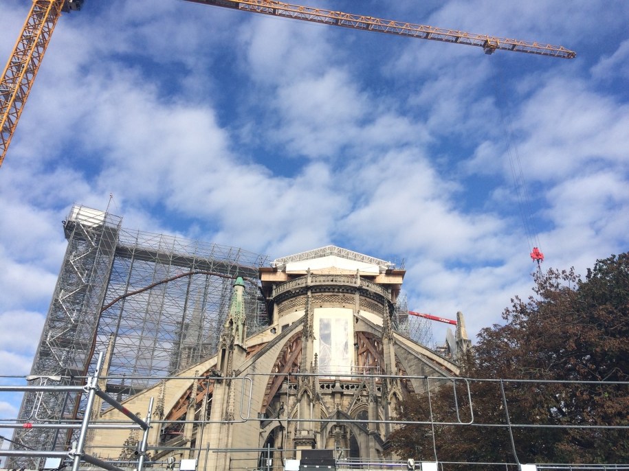 Katedra Notre-Dame /fot. Felicja Lamprecht /