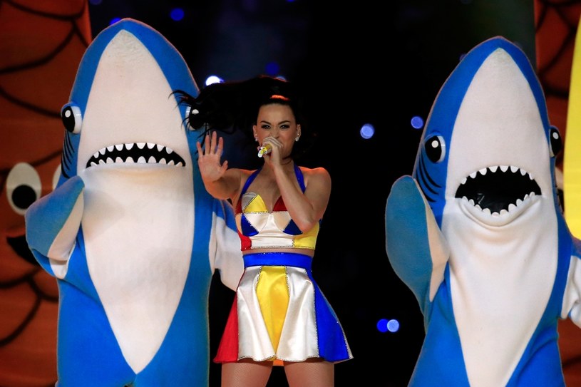 Katy Perry i słynne rekiny /Rob Carr /Getty Images