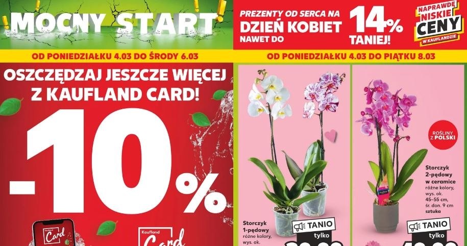 Kaufland oferuje storczyki w niskich cenach! /Kaufland /INTERIA.PL