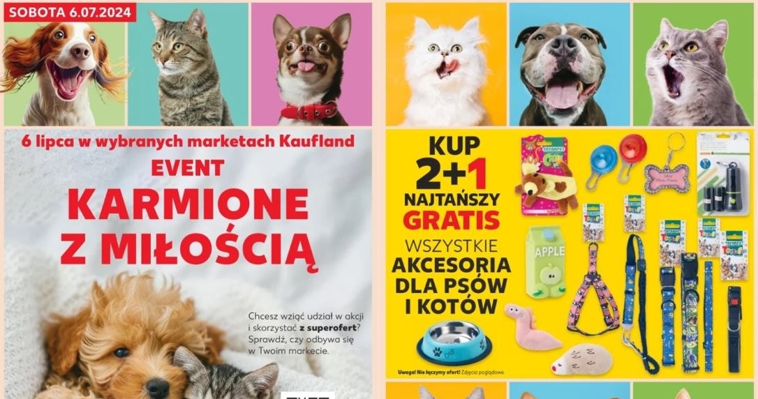 Kaufland oferuje w gratisie akcesoria dla psów i kotów! /Kaufland /INTERIA.PL