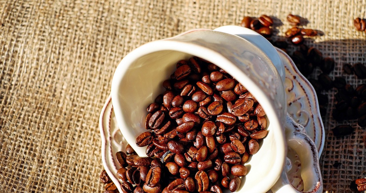 Кава корисна в міру /pixabay.com