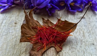 Кавказький шафран росте в польських садах. Корисний для імунітету, добре поєднується з м’ясом і овочами