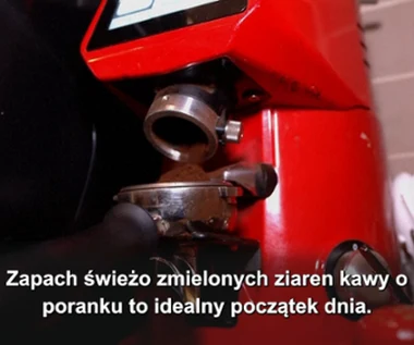 Kawa zdrowa tylko o poranku? Oto najnowsze doniesienia naukowców