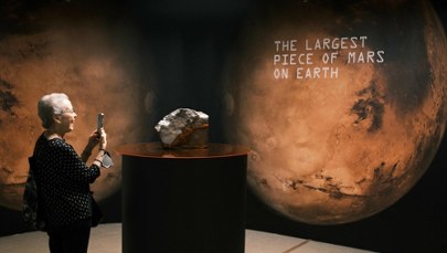 Kawał skały za miliony. Z Marsa do sejfu oligarchy? 