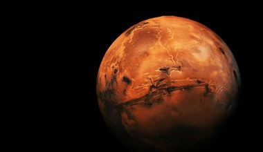 Kawałek Marsa na sprzedaż! Rekordowy meteoryt warty fortunę 