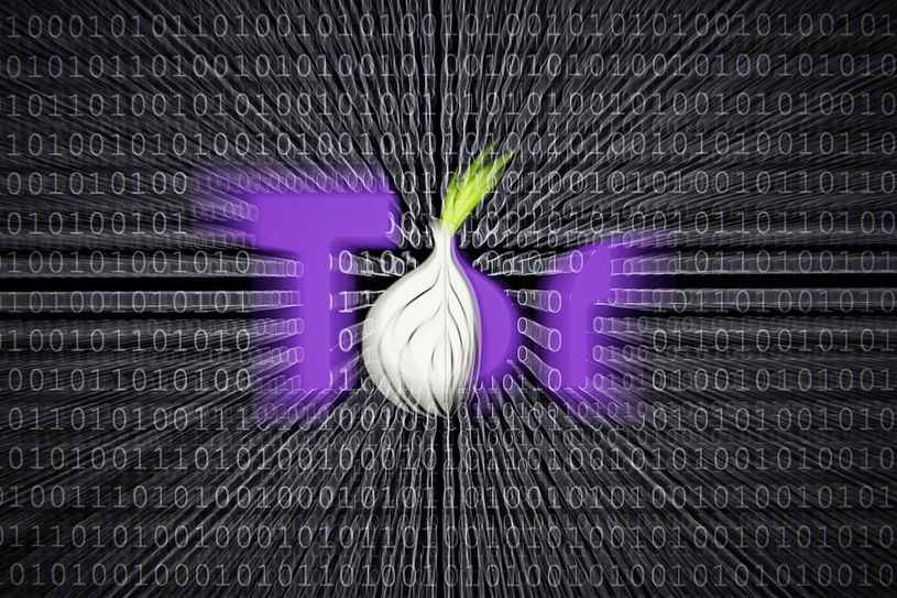 Każda strona z domeną .onion należy do sieci TOr i nie jest częścią internetu /Getty Images
