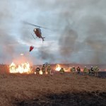 Każdy pożar w Biebrzańskim Parku Narodowym to duża strata dla przyrody