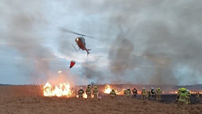 Każdy pożar w Biebrzańskim Parku Narodowym to duża strata dla przyrody