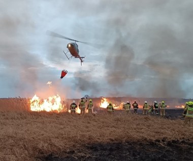 Każdy pożar w Biebrzańskim Parku Narodowym to duża strata dla przyrody