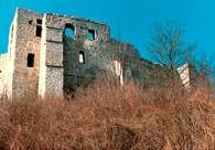 Kazimierz Dolny, ruiny zamku z XIV w. /Encyklopedia Internautica