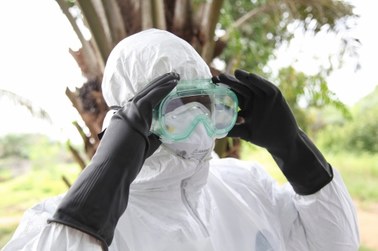 KE: Epidemia Eboli w UE mało prawdopodobna 