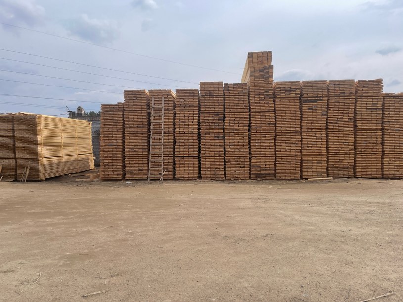 KE poszerza podwyższone cło na produkty drewnopochodne o firmy z Kazachstanu i Turcji /123RF/PICSEL