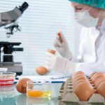 KE: Szybkie działania Polski w reakcji na informacje o jajach skażonych salmonellą
