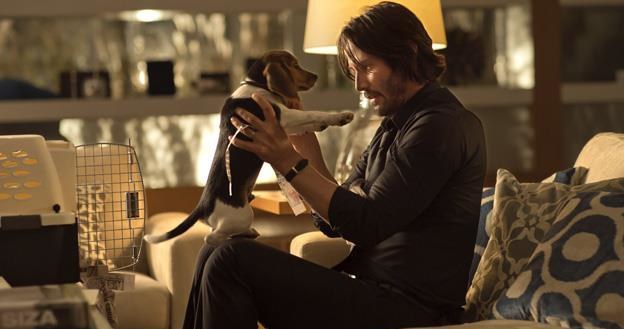 Keanu Reeves w filmie "John Wick" /materiały prasowe