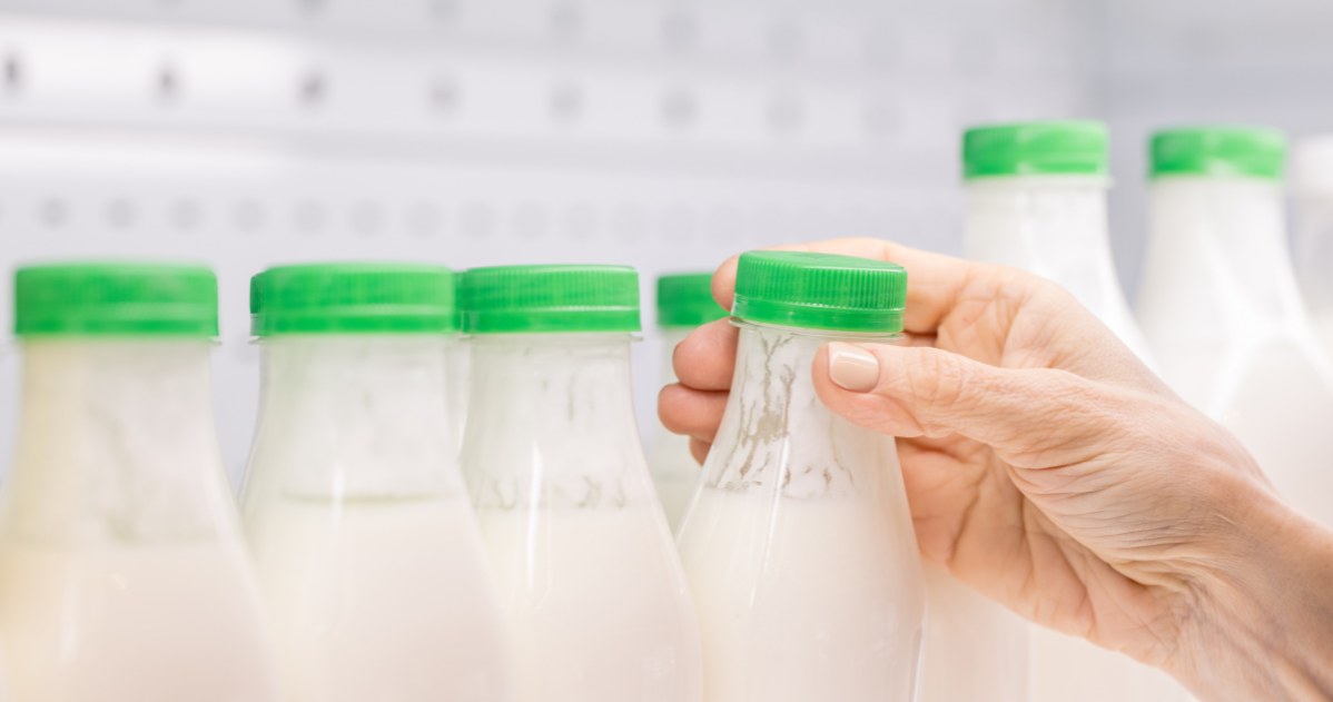 Kefir, maślanka, jogurt naturalny to dobrze znane źródła probiotyków. Bakterie probiotyczne znajdziesz jednak też w innych produktach /123RF/PICSEL