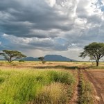 ​Kenia - nowe połącznie czarterowe z wrocławskiego lotniska