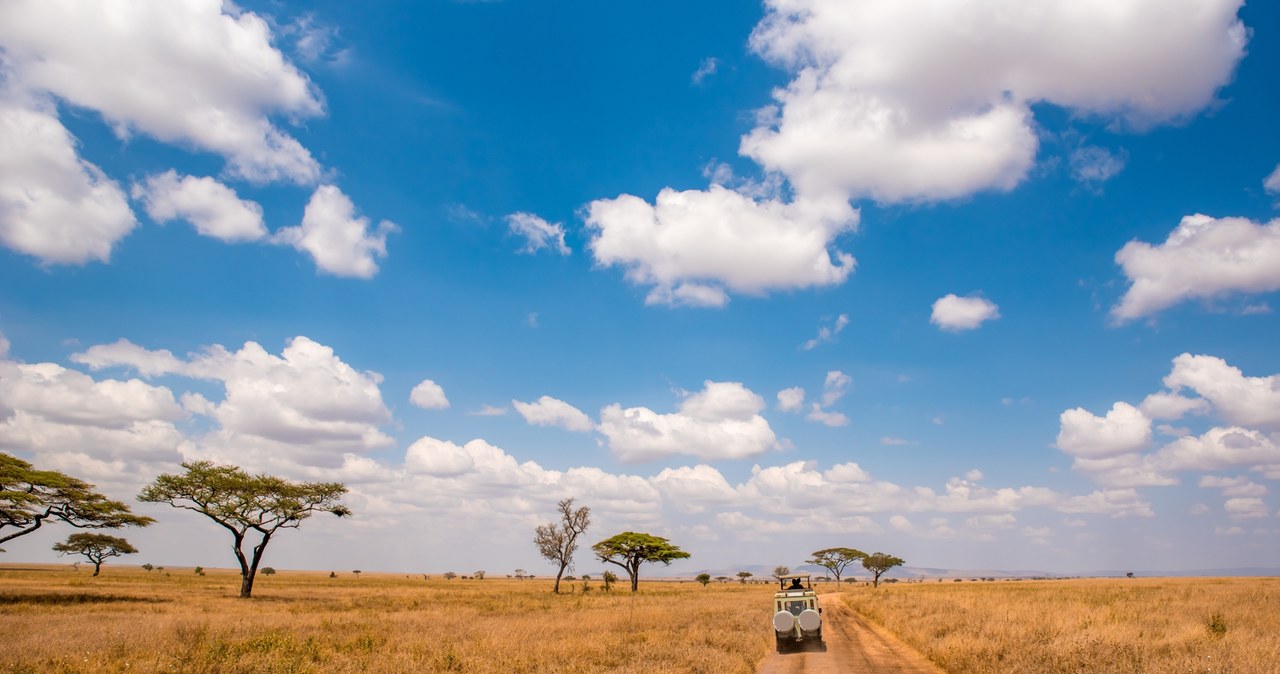 Kenia oferuje niezwykłe bogactwo przyrodnicze i niezapomniane krajobrazy. Safari to jedna z największych atrakcji tego afrykańskiego kraju. /Pixel