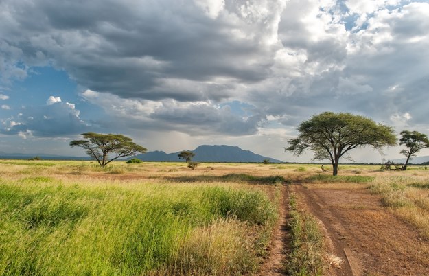 Kenia /Shutterstock