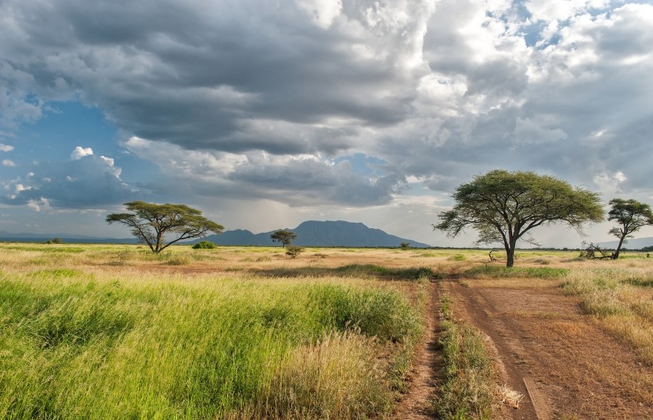 Kenia /Shutterstock