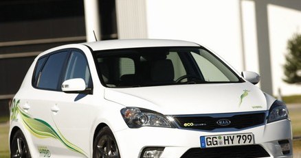 Kia cee'd hybrid /Informacja prasowa