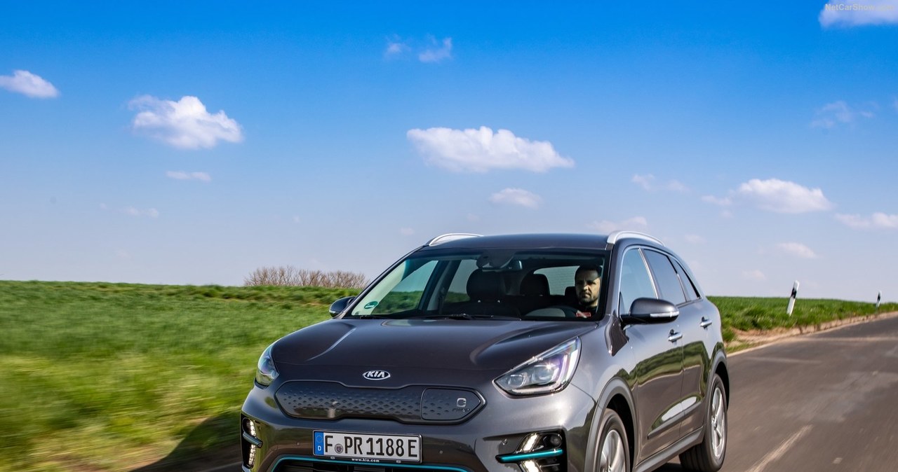 Kia e-Niro /Informacja prasowa