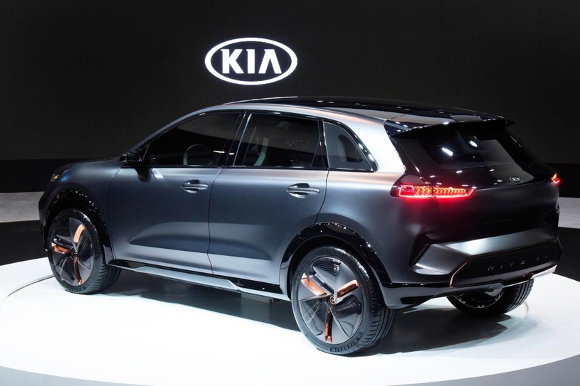 Kia Niro EV /Informacja prasowa