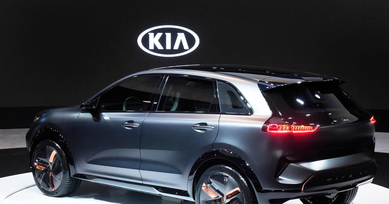 Kia Niro EV /Informacja prasowa