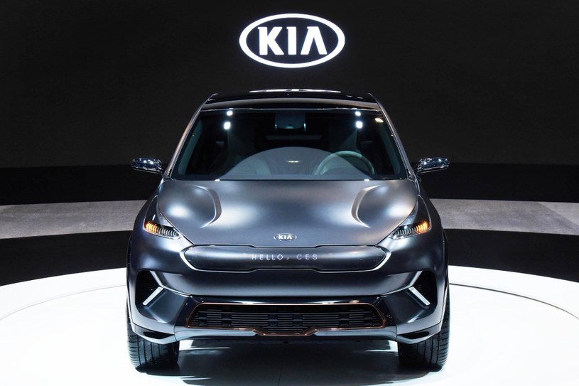 Kia Niro EV /Informacja prasowa