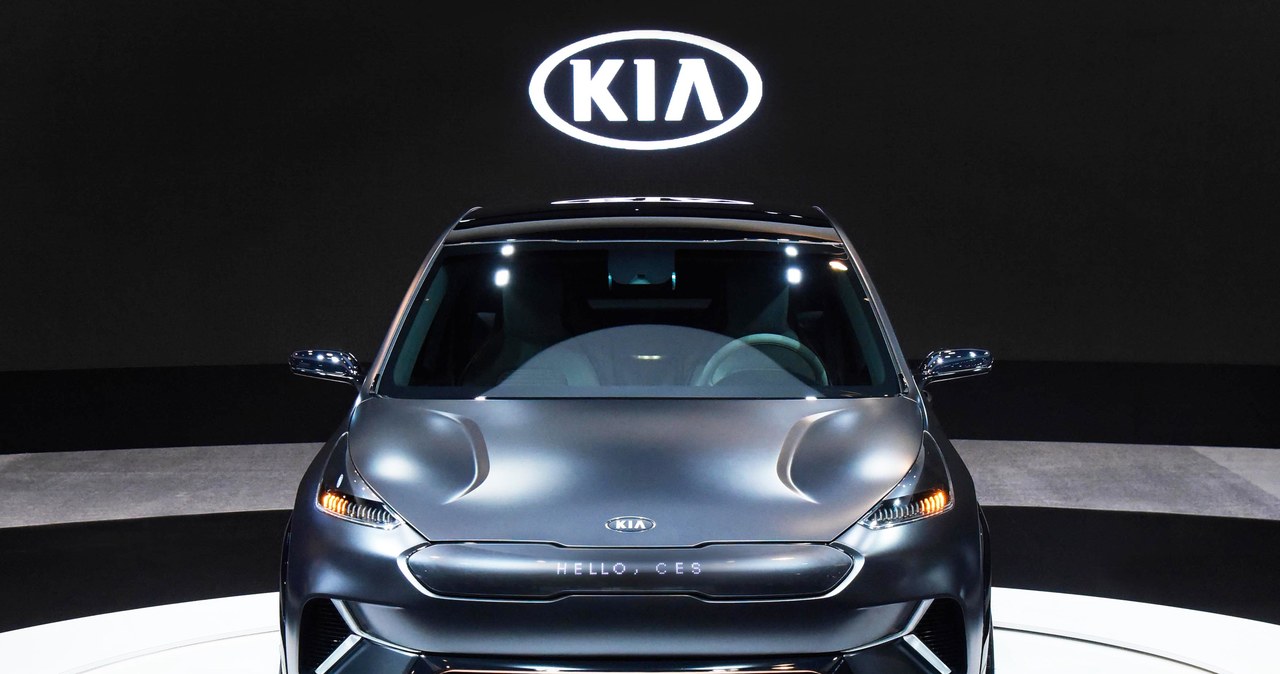 Kia Niro EV /Informacja prasowa