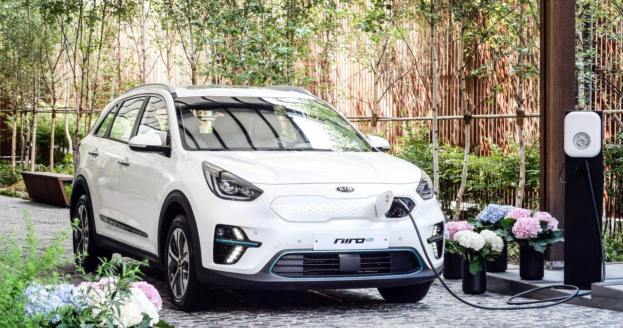 Kia Niro EV /Informacja prasowa