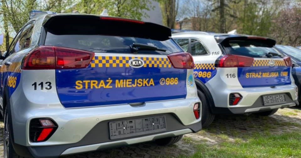 Kia Niro z klasycznym napędem hybrydowym to dobry wybór dla służb dużo poruszających się po mieście /Straż Miejska w Łodzi /Informacja prasowa