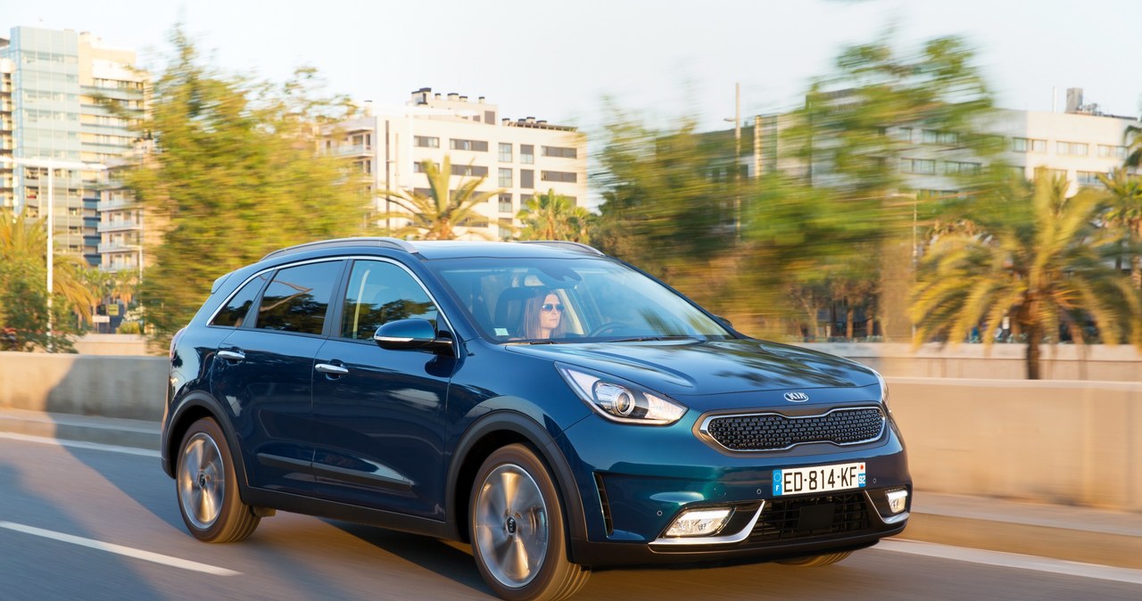 Kia Niro /Informacja prasowa