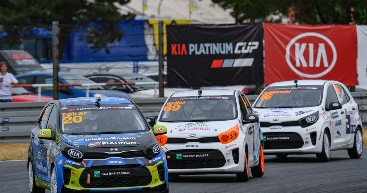 Kia Platinum Cup /Informacja prasowa