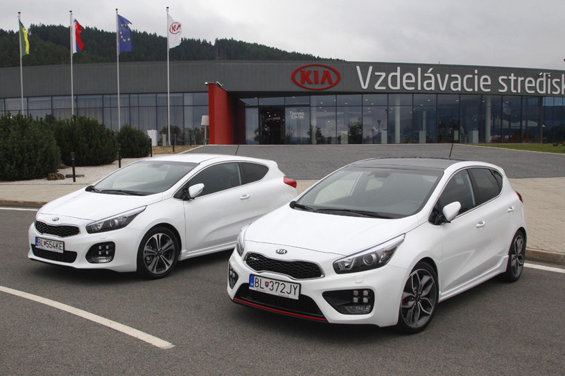 Kia pro_cee'd /INTERIA.PL