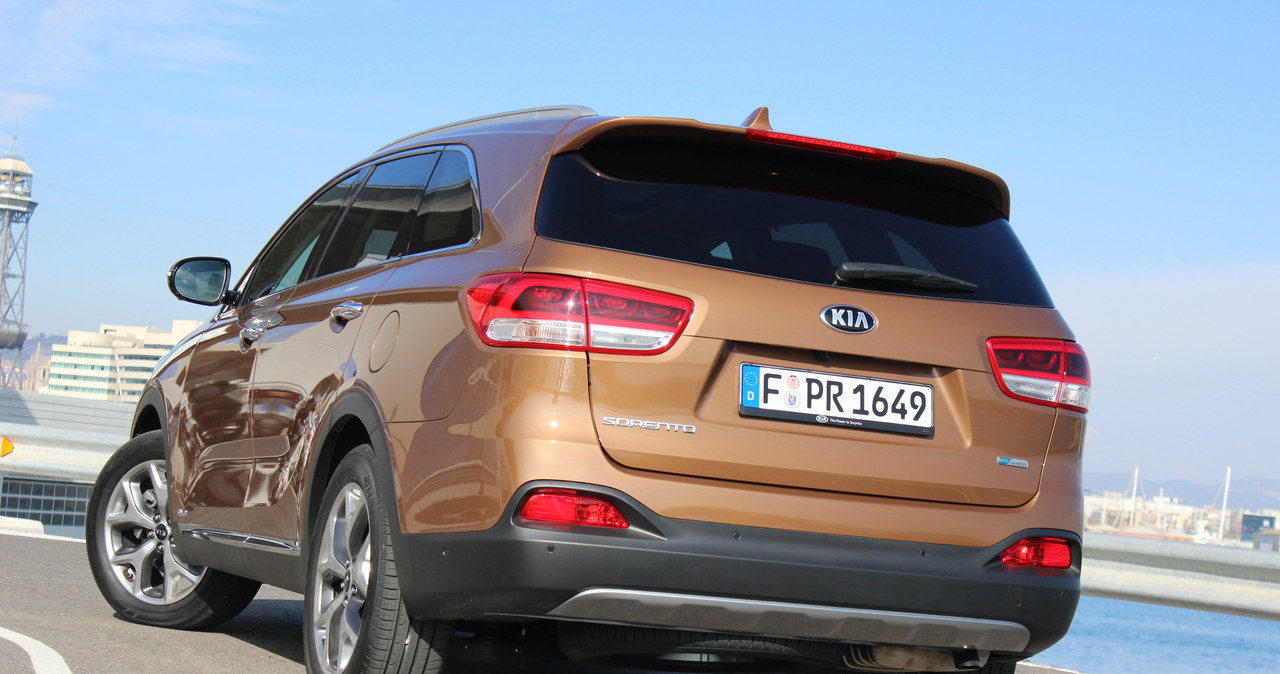 Kia Sorento /INTERIA.PL