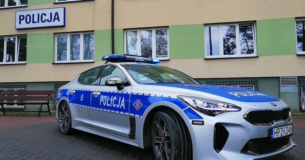 Kia Stinger /Wydziału Ruchu Drogowego KPP Otwock /materiały prasowe