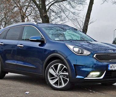 Kia z dużym awansem na polskim rynku w 2020 roku