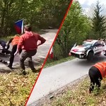 Kibice urządzili bójkę na trasie rajdu WRC. Od tragedii dzieliły ich sekundy