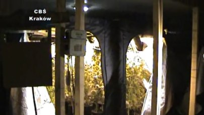 Kibolski narkobiznes. CBŚ zatrzymało w Krakowie 11 ludzi