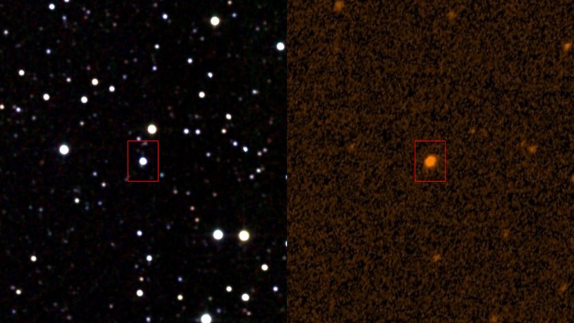 KIC 8462852 /materiały prasowe