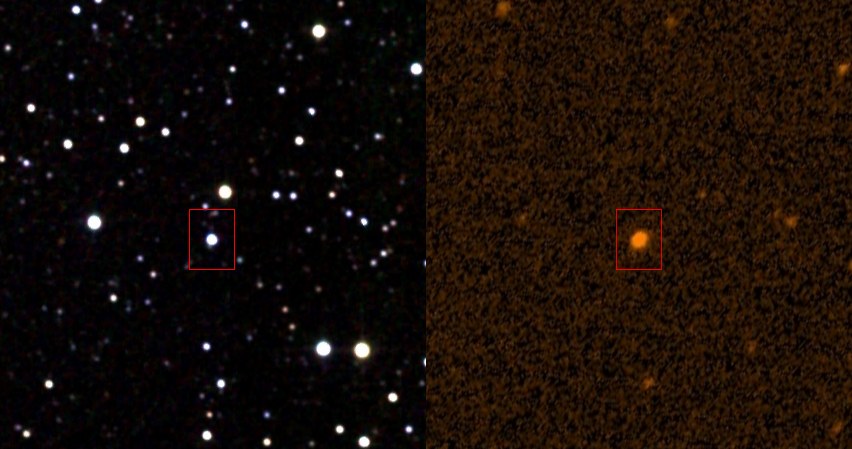 KIC 8462852 /materiały prasowe