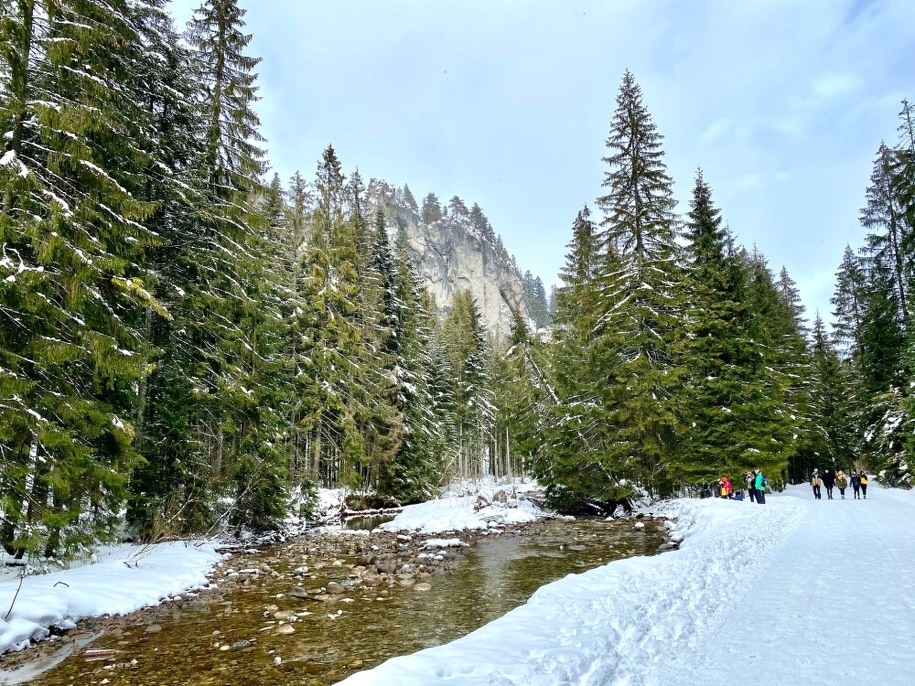 Kiedy ferie zimowe? /RMF FM