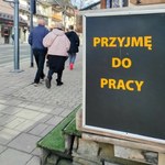 Kiedy jawność zarobków w ogłoszeniach? Konfederacja: Będą procesy