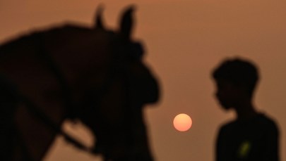 Kiedy koń stał się motorem napędowym ludzkiej cywilizacji?