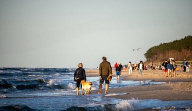 Kiedy nad Bałtykiem jest najwięcej jodu? Wielki mit wakacji