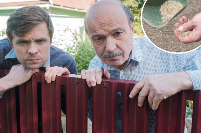 Kiedy najlepiej siać trawnik? Zrób to w tym terminie, a niejeden sąsiad pozazdrości ci pięknego trawnika /123RF/PICSEL