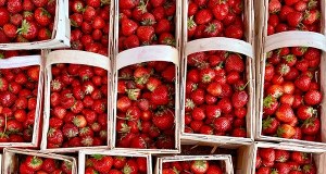 Kiedy pojawią się polskie truskawki? Znamy odpowiedź