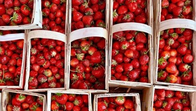 Kiedy pojawią się polskie truskawki? Znamy odpowiedź