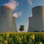 Kiedy powstanie elektrownia jądrowa w Polsce? Wkrótce ważna decyzja